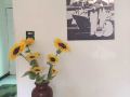 heliopolis-elite-apartment