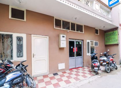 Hotel Amar Palace
