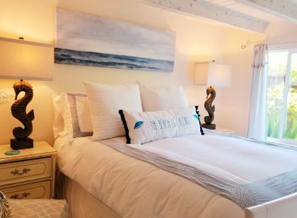 THE BEST LOCATION-HUGE YARD and PRIVATE COTTAGE- PALM COTTAGE -SUMMERLA