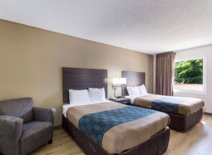 이코노 로지 리틀 크리크