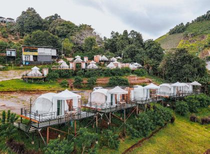 ม่อนดาวเรือง ม่อนแจ่ม