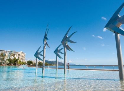 Cairns City Palms