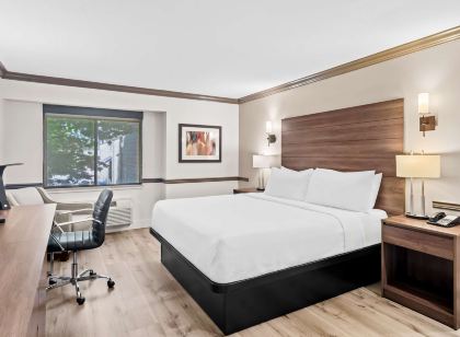 Best Western Maple Ridge Hotel
