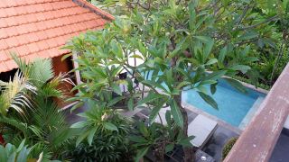 abyan-guest-house