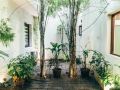 moss-colombo