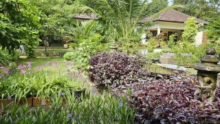 jepara-garden-resort