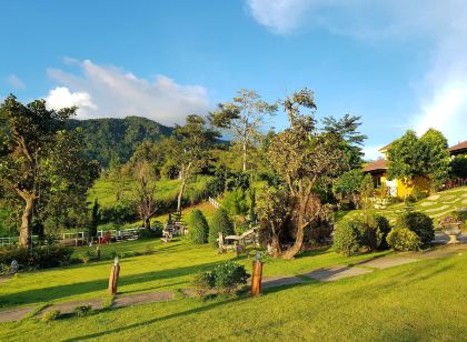 Foresta Hill Resort