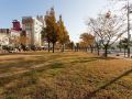 yeosu-narsha-hotel