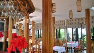 tre-nguon-thanh-thuy-resort