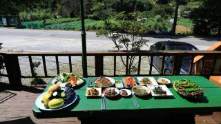 wonju-chiak-mountain-club-pension