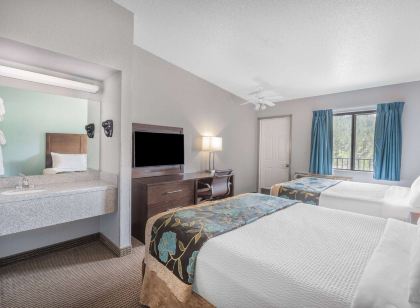 베이몬트 바이 윈덤 키스톤 니어 마운트 러시모어