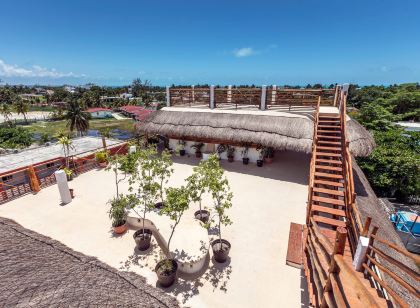 La Palma Holbox