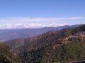 the-royal-mountain