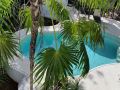 jungle-dust-cancun