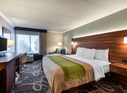 Comfort Inn Anaheim Resort