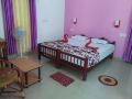 munroe-coconut-homestay