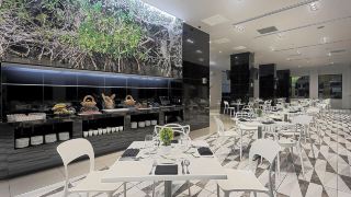 hotel-olmeca-plaza
