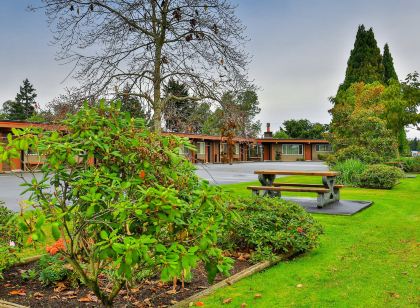 Arbutus Grove Motel