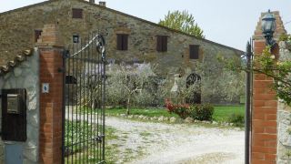 maremma-2-apt-in-tuscany-with-garden-and-pool