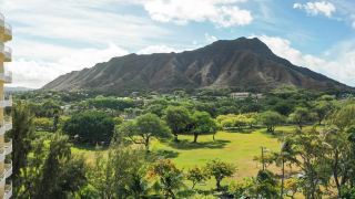 lotus-honolulu-at-diamond-head