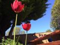 rucksacker-backpacker-hostel