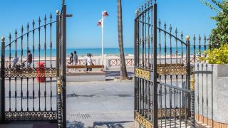 apartamento-las-palmeras
