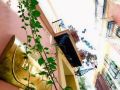un-patio-en-santa-cruz