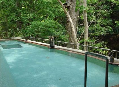 Tsuruya Ryokan