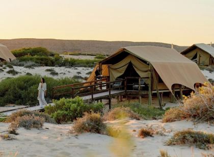 SAL Salis Ningaloo Reef