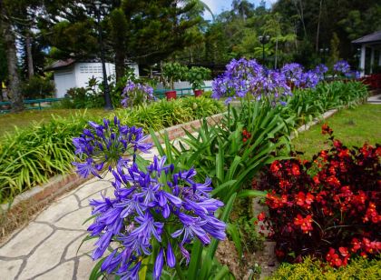Holiday Accommodation Cameron Highlands