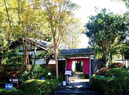 伊豆高原 城ヶ崎温泉 花吹雪