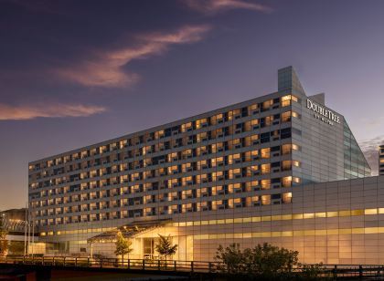 DoubleTree by Hilton Hotel South Bend