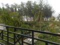 river-view-homestay
