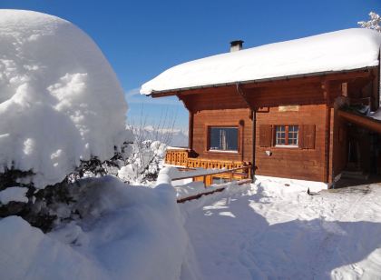 Chalet Zan-Fleuron