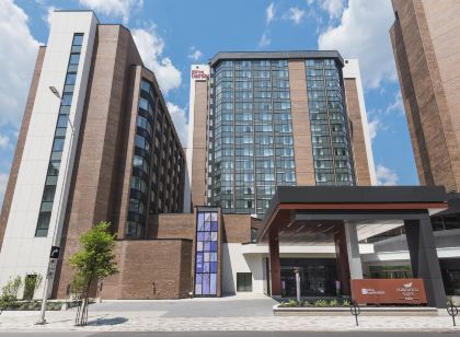 Hilton Garden Inn Ottawa Downtown