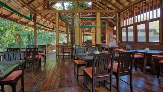 our-jungle-camp