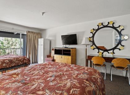 미션 피크 로지