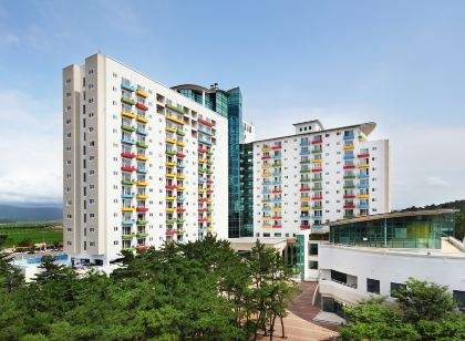 한화리조트 대천 파로스