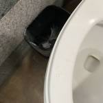 昆明秋恋大酒店
