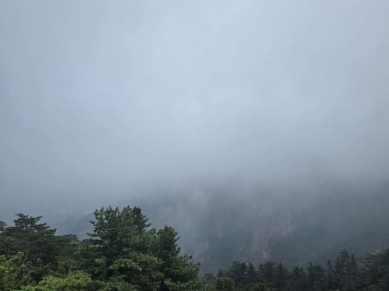 위드유 호텔 & 게스트하우스 쿠폰