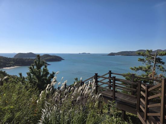 쏠비치 진도 쿠폰