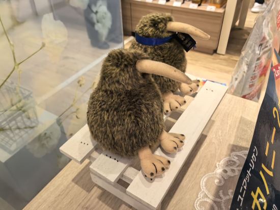 ダイワロイネットホテル東京有明 クーポン