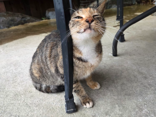 완도 청해진한옥펜션 쿠폰