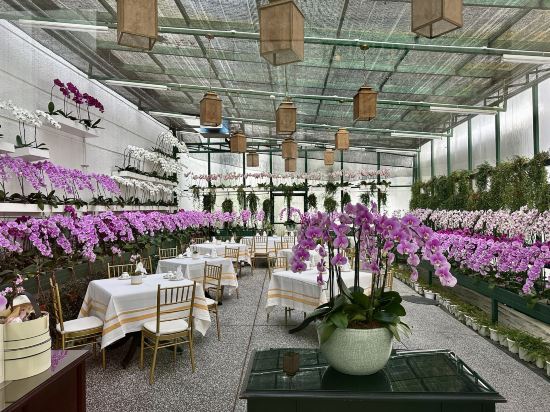 吉隆坡大華酒店,傲途格精選酒店優惠