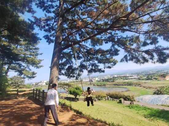 브라운캐빈 쿠폰