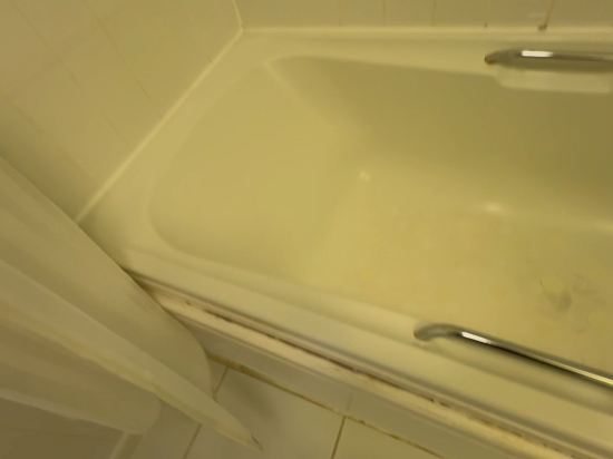 假日曼徹斯特西區酒店優惠