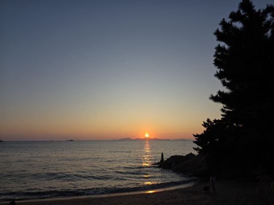 베니키아 스타힐스 호텔 쿠폰