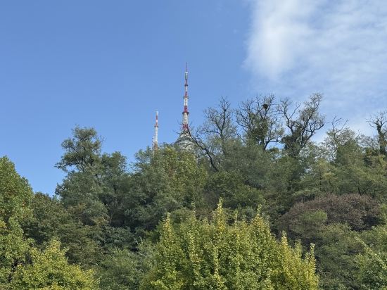 신라스테이 서대문 쿠폰