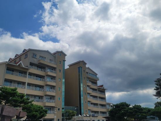 성호 리조트 쿠폰