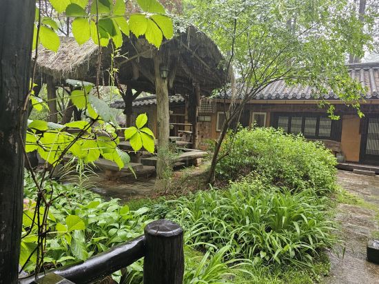 에그하우스 남이섬 게스트하우스 - 호스텔 쿠폰